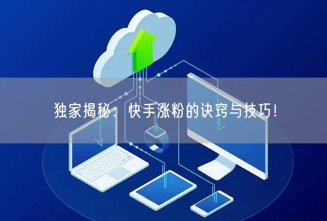 独家揭秘：快手涨粉的诀窍与技巧！